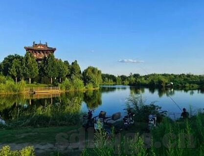 大象传媒广告入口-探索大象传媒广告入口，解锁品牌传播新维度