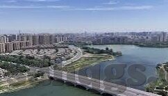 大象传媒在线播放-探索大象传媒在线播放的多元化娱乐体验