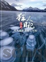 www.91麻豆av-探索网络世界的多元维度，从内容创造到责任意识